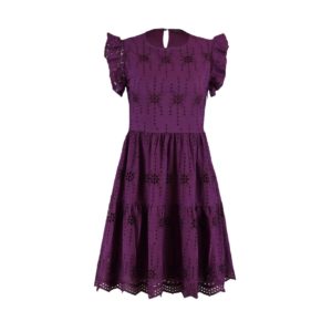 Trendyol Plum Embroidered Dress