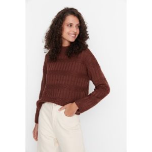 Trendyol Brown Knitted Detailed
