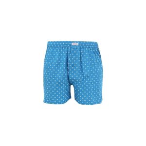Men's shorts Andrie blue-green (PS