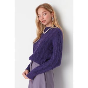 Trendyol Purple Knitted Detailed