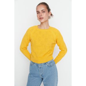 Trendyol Yellow Knitted Detailed Knitwear